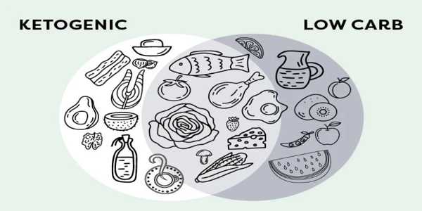 Keto vs. Low-Carb: Which Diet Is Better For Long-Term Results?